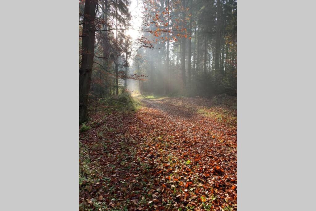 Ferienwohnung Schmidt Rosengarten  Bagian luar foto